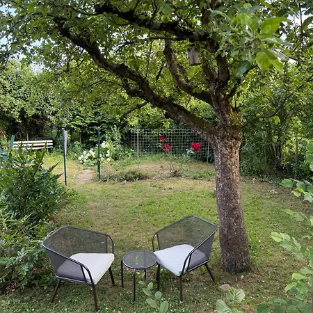 Zentral Mit Gartentraum 3 Schlafzimmer 8 Personen * بادربورن
